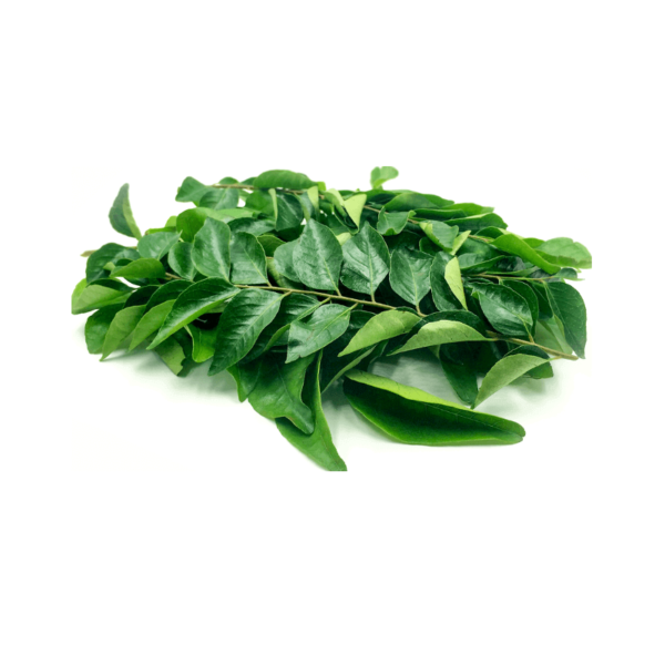 Curry Leaf Extract Powder