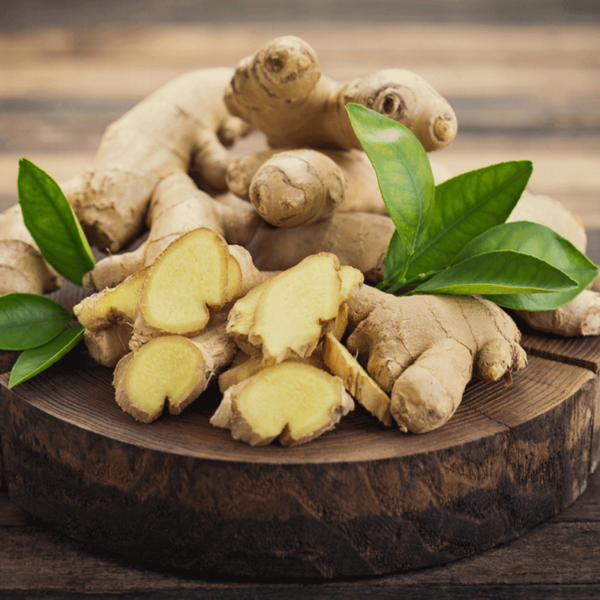 Ginger Extract Powder